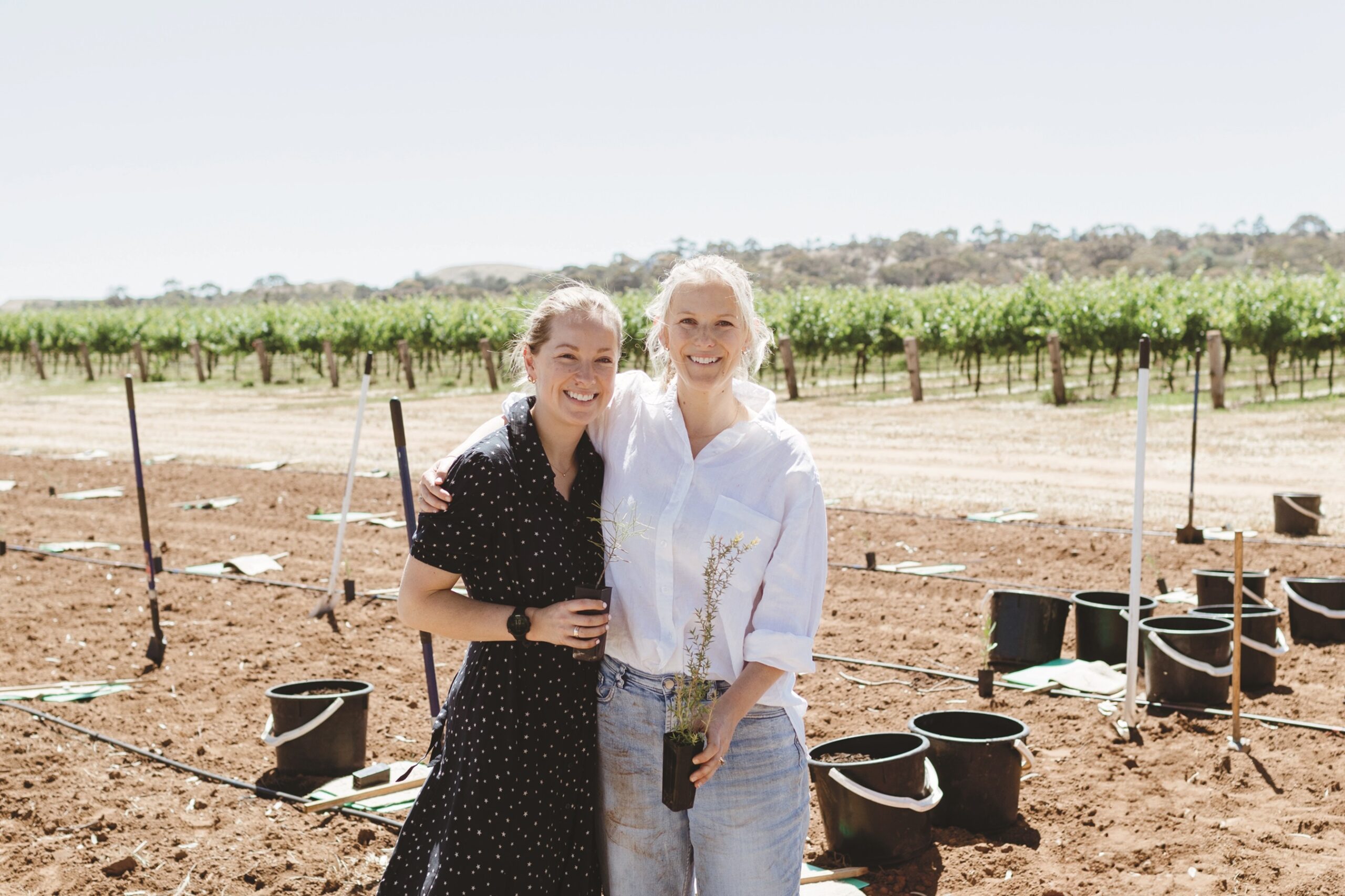 Wine, Family, and Innovation in the Barossa Valley